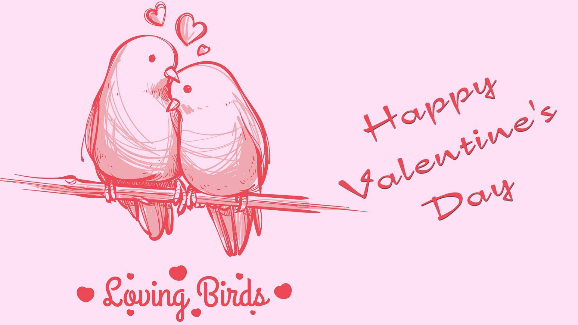 Pájarosrosados Del Amor De San Valentín Fondo de pantalla