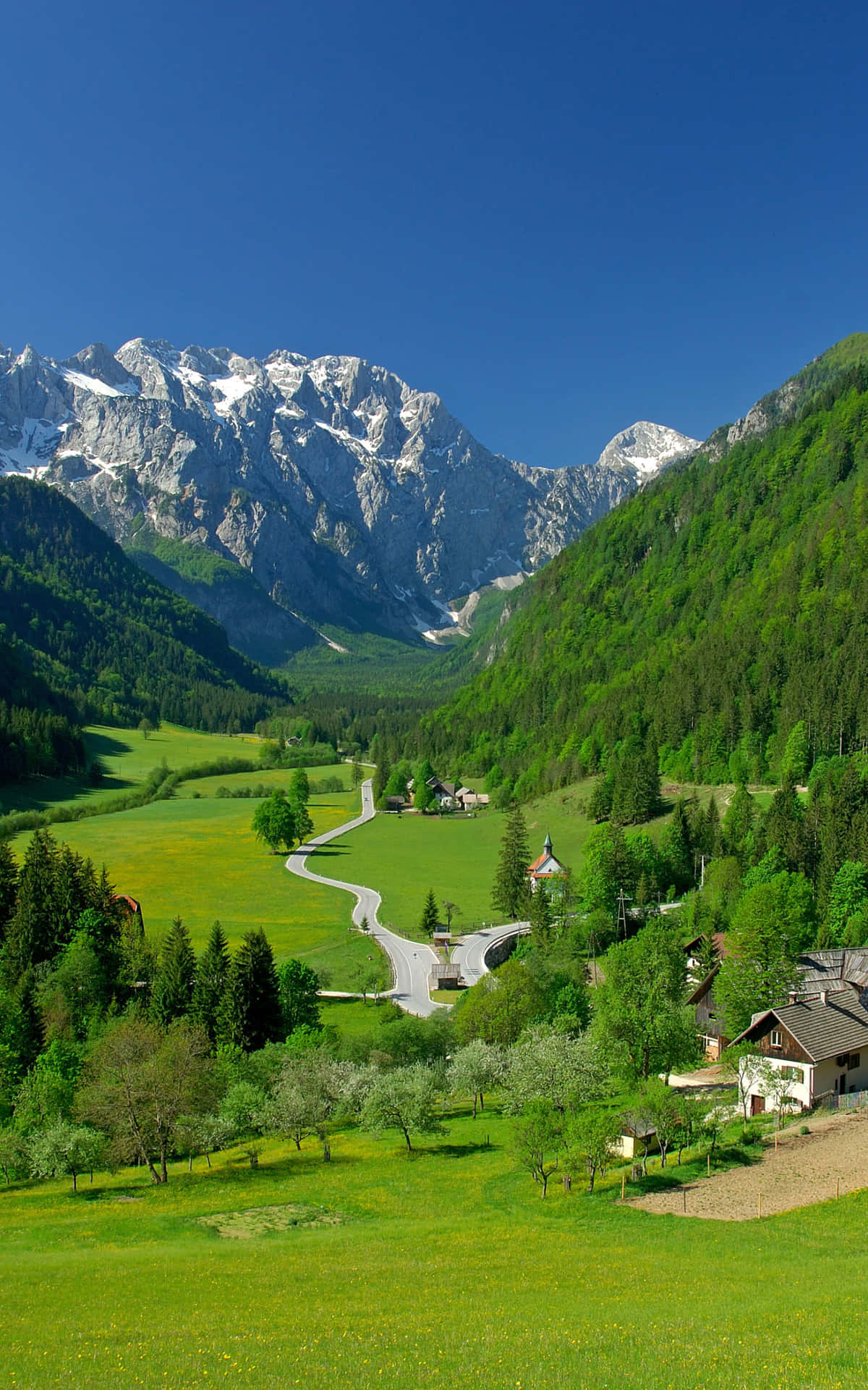 A peaceful valley surrounded by lush greenery