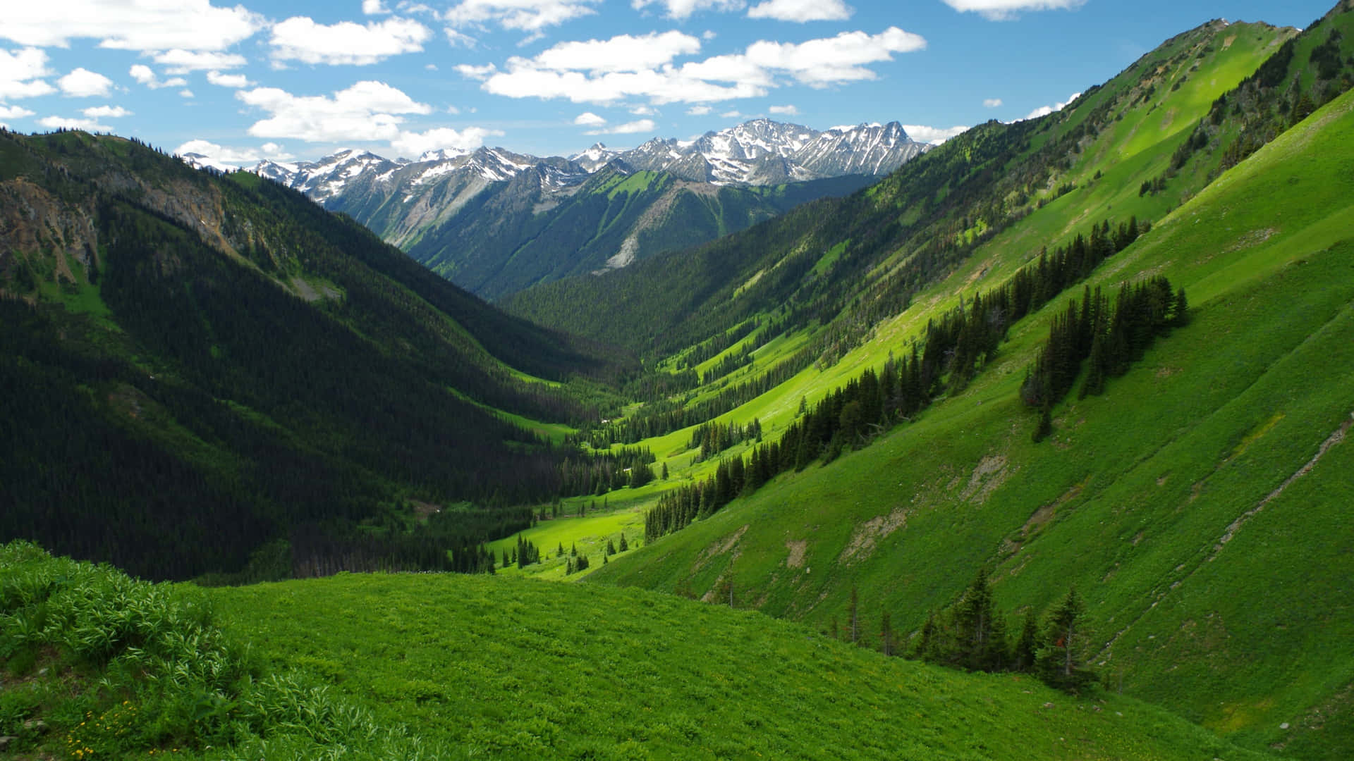 Take in the beauty of the picturesque mountain valley."