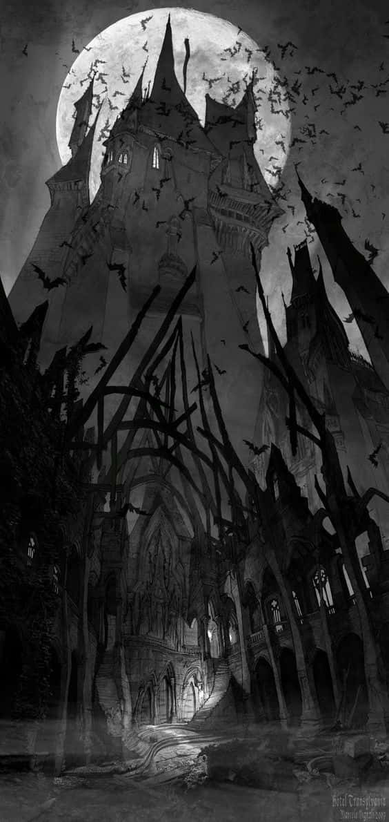 vampire black and white wallpaper
