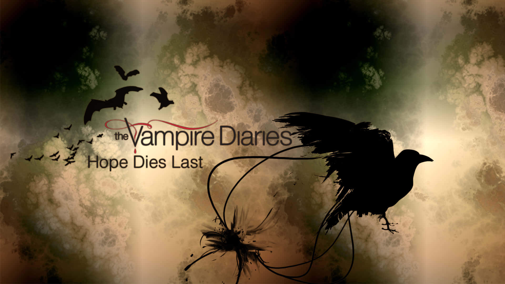 Unøjagtig Vampire Diaries skrivebordsbaggrund Wallpaper