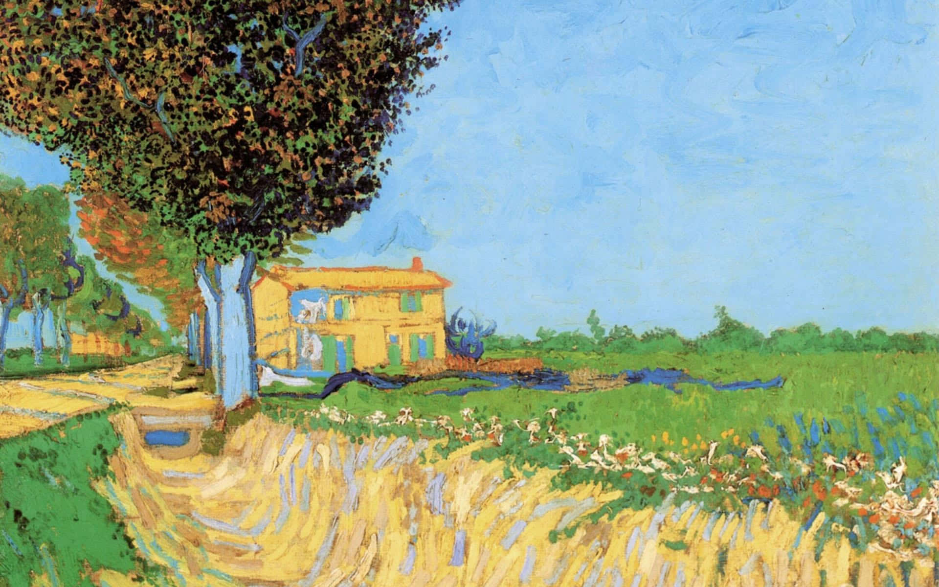 Nottestellata Di Vincent Van Gogh