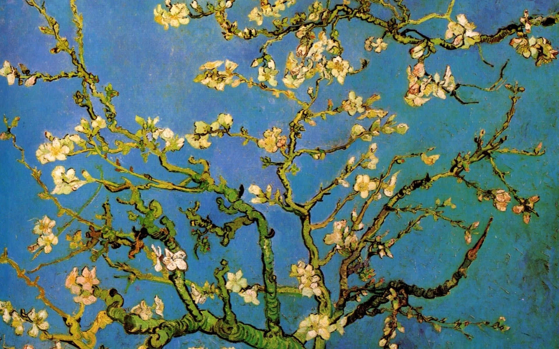 "Almond Blossoms" by the renowned artist Vincent Van Gogh. Wallpaper