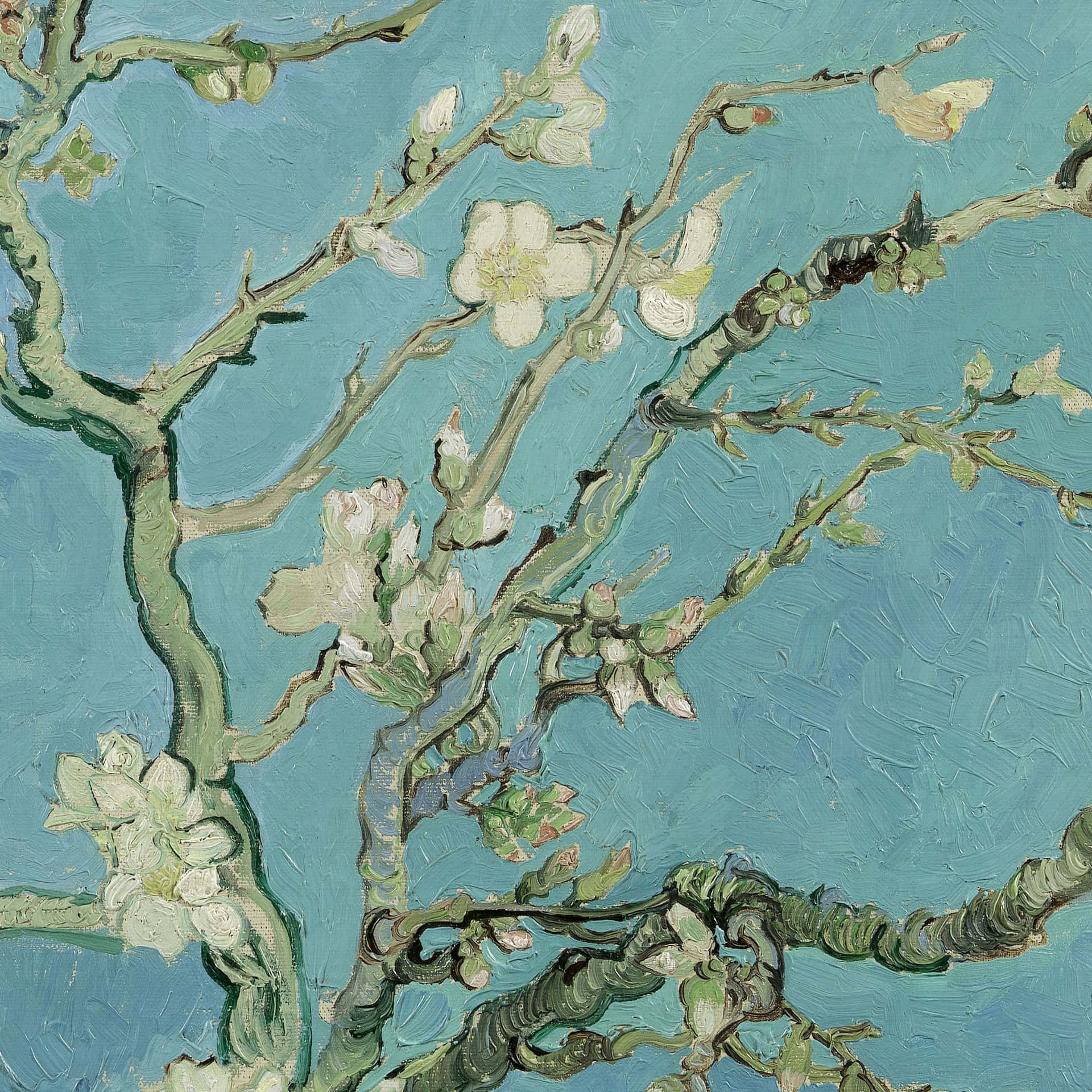 Vincent van Gogh's "Almond Blossoms in Bloom" Wallpaper