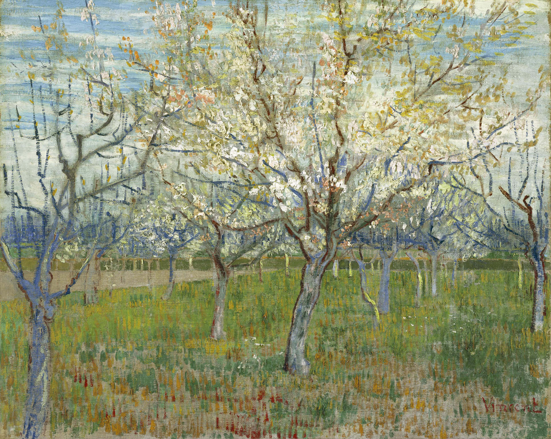 Famous Painting “Almond Blossoms” by Vincent Van Gogh Wallpaper