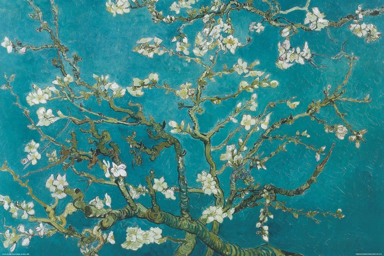 "Almond Blossoms" by Vincent Van Gogh Wallpaper