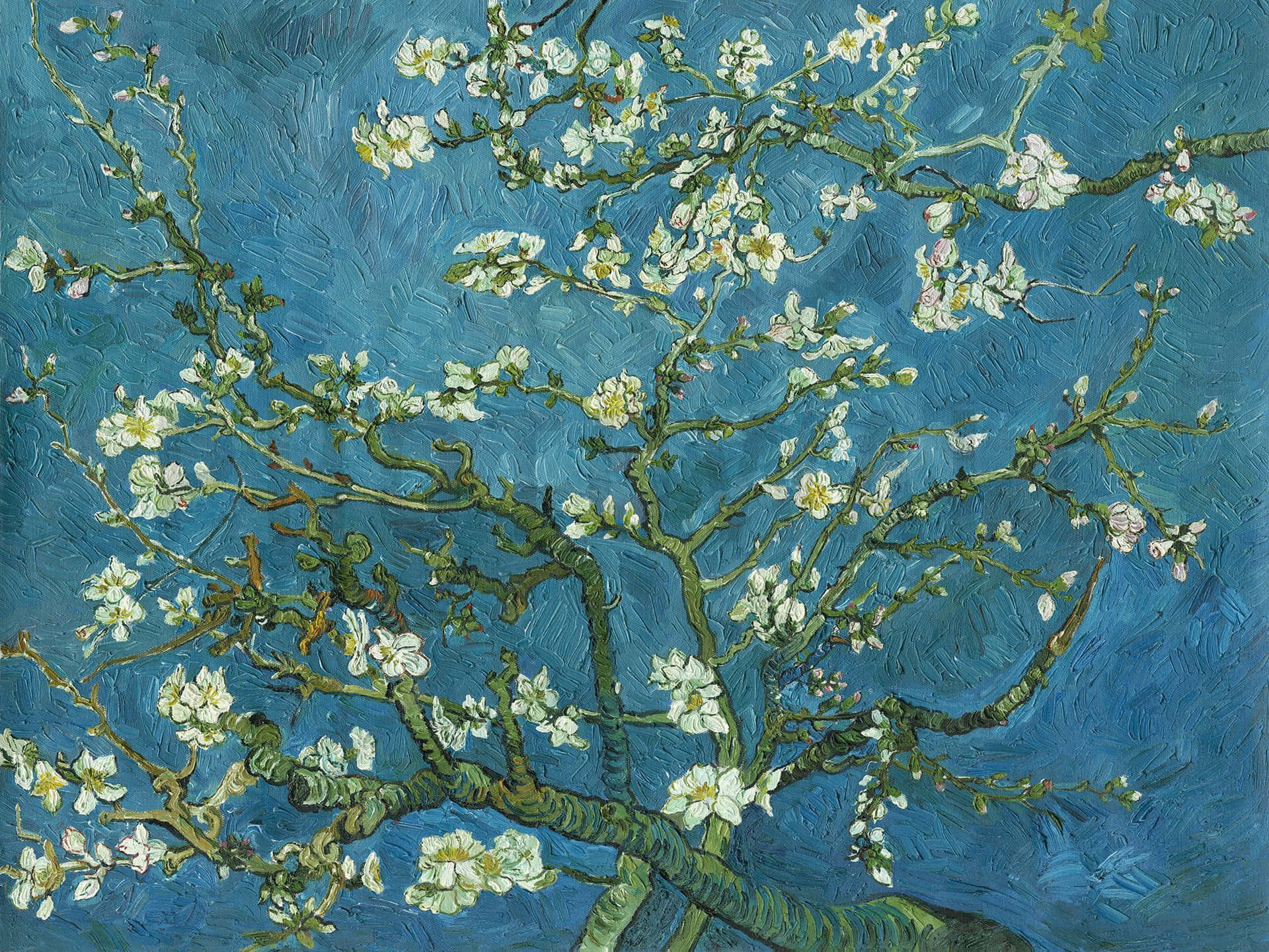 Et ikonisk maleri af mandelblomster af Vincent Van Gogh. Wallpaper
