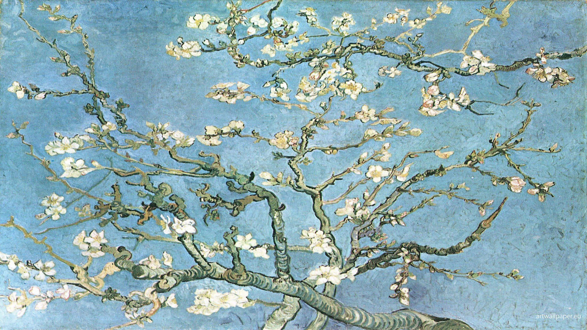 "Van Gogh's Almond Blossoms" Wallpaper