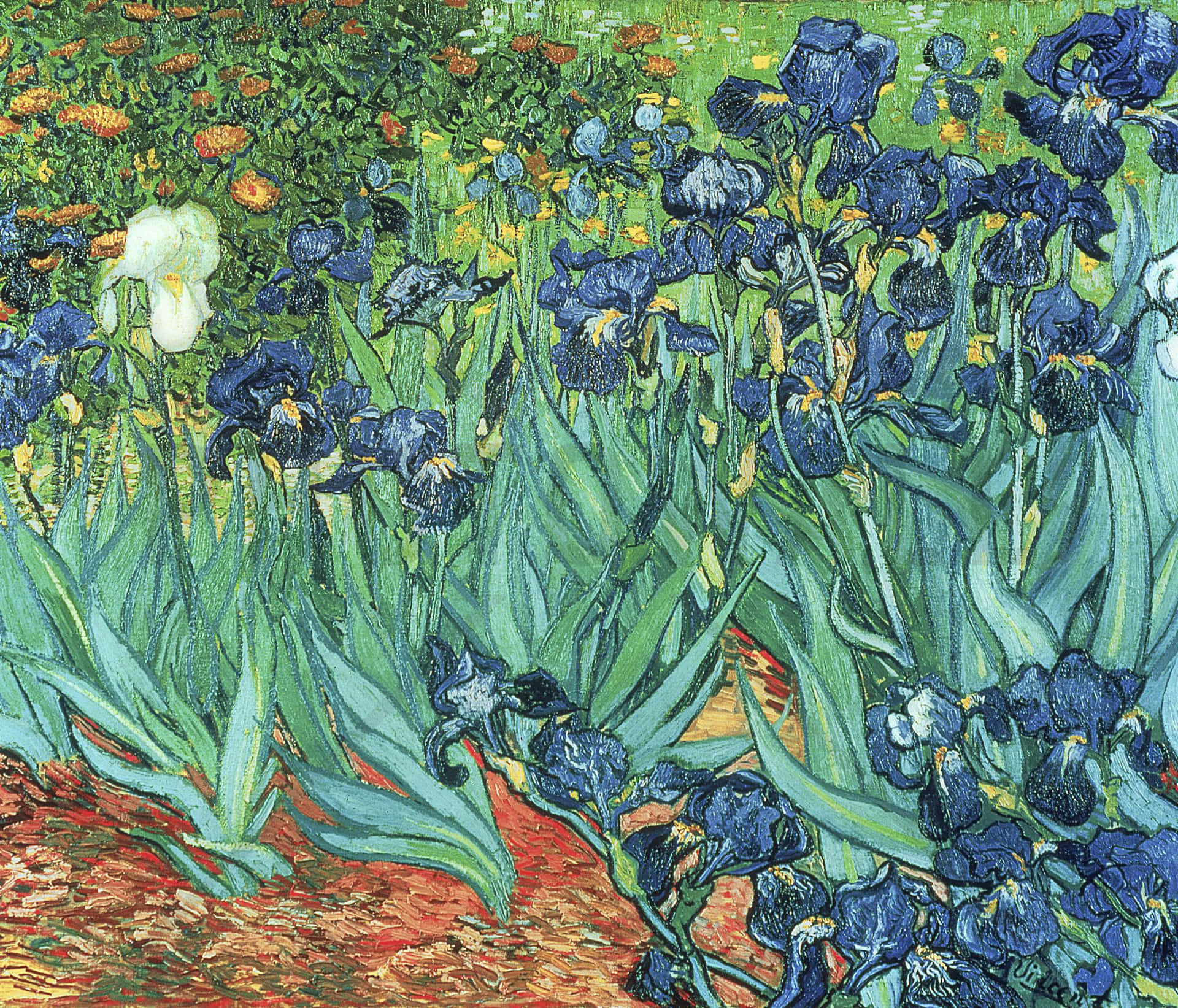 Unapintura Idílica De Van Gogh De Un Tranquilo Campo En Flor. Fondo de pantalla