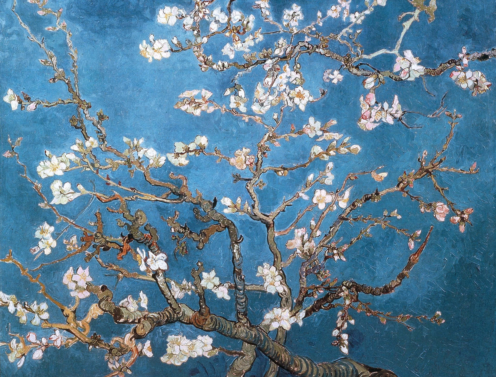 "Almond Blossoms" by Vincent Van Gogh Wallpaper
