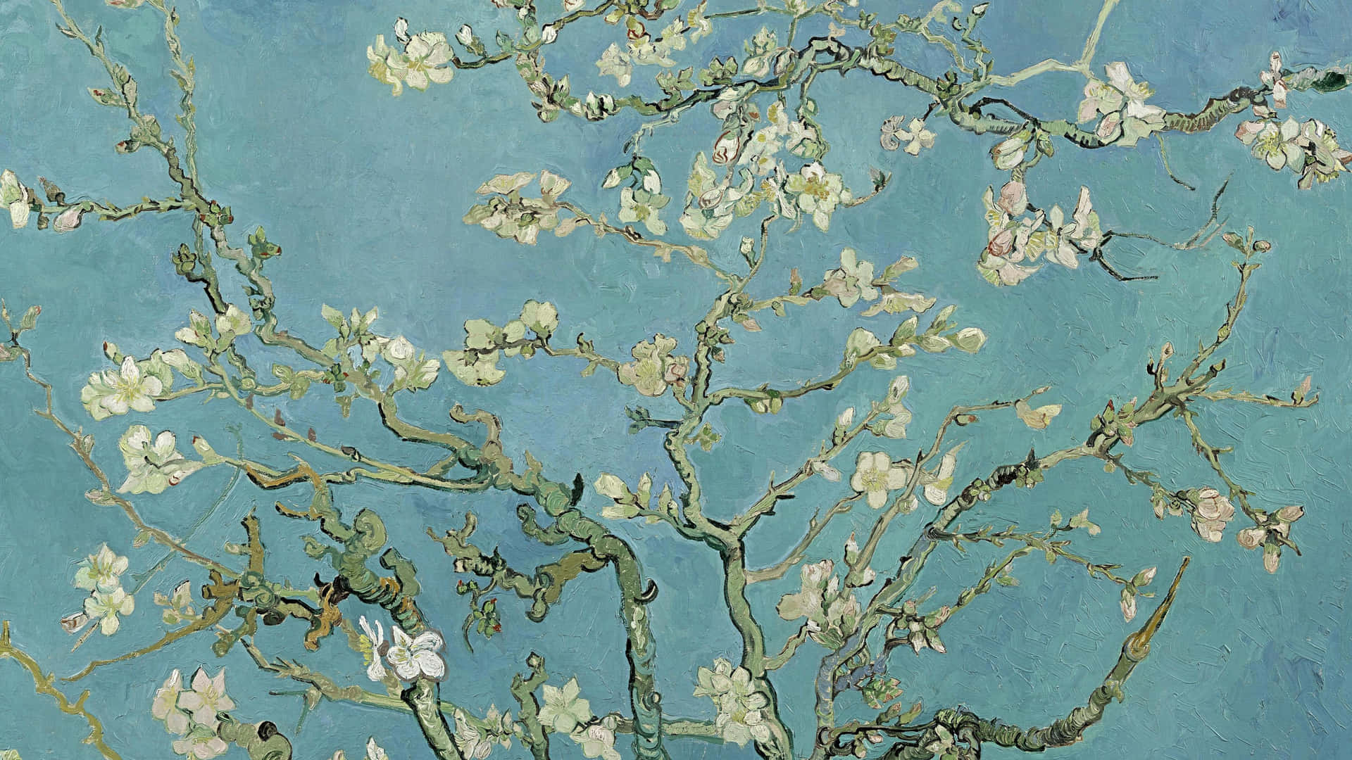 Amandeduftende blomster - Et klassisk maleri af Vincent van Gogh pryder denne fantastiske tapet. Wallpaper