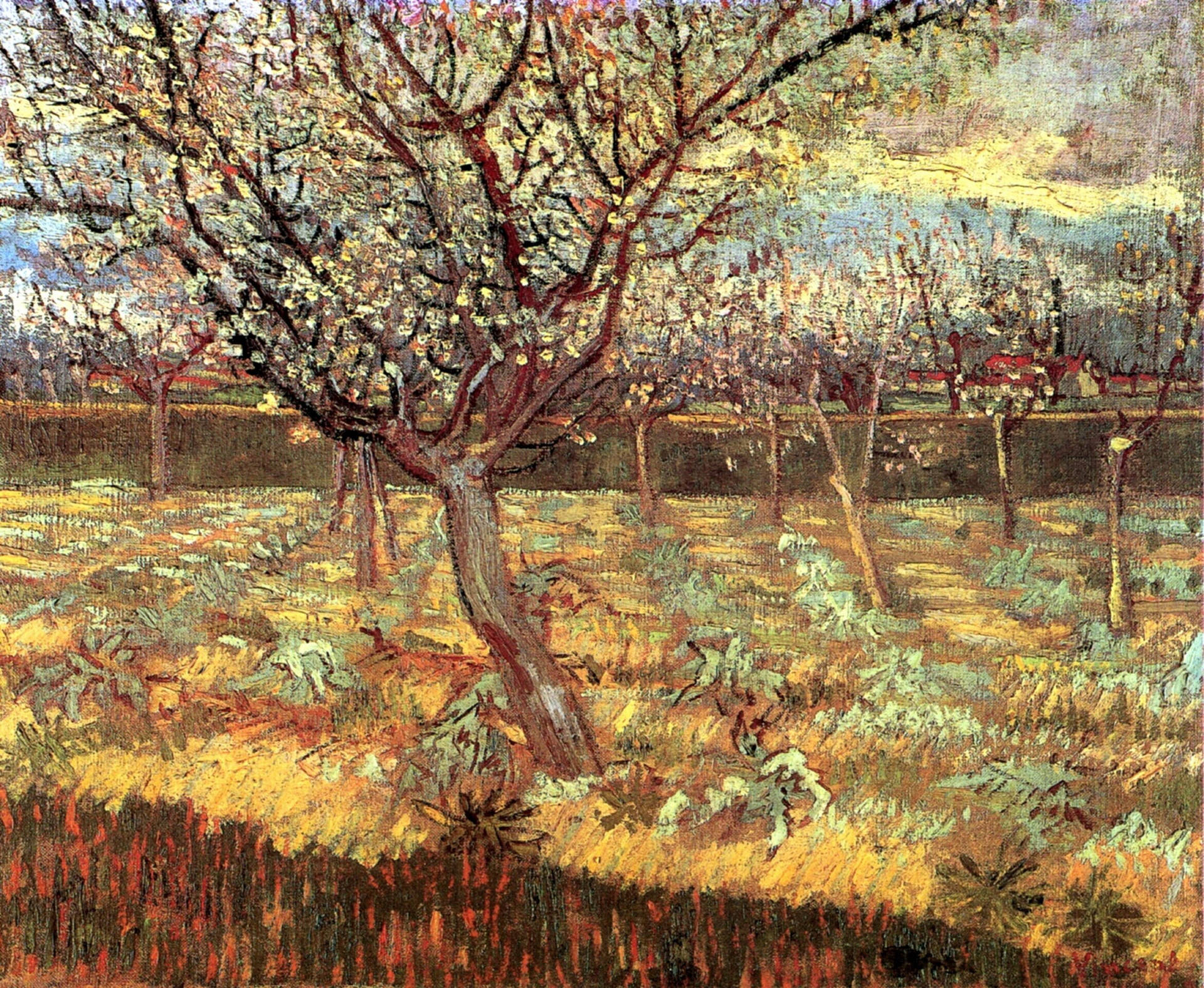 Van Gogh Apricot Trees In Blossom Wallpaper
