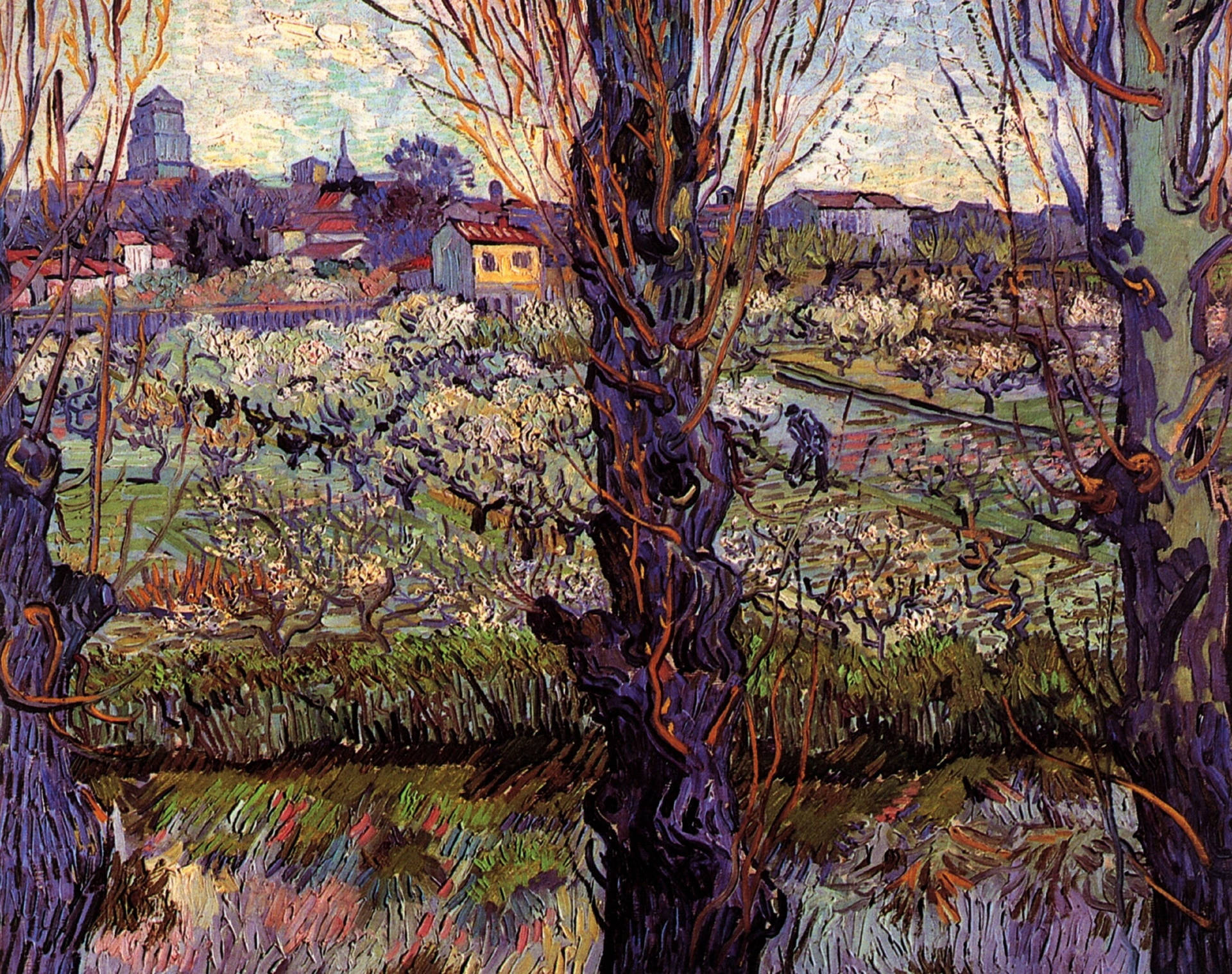 Van Gogh Arles Flowering Orchards