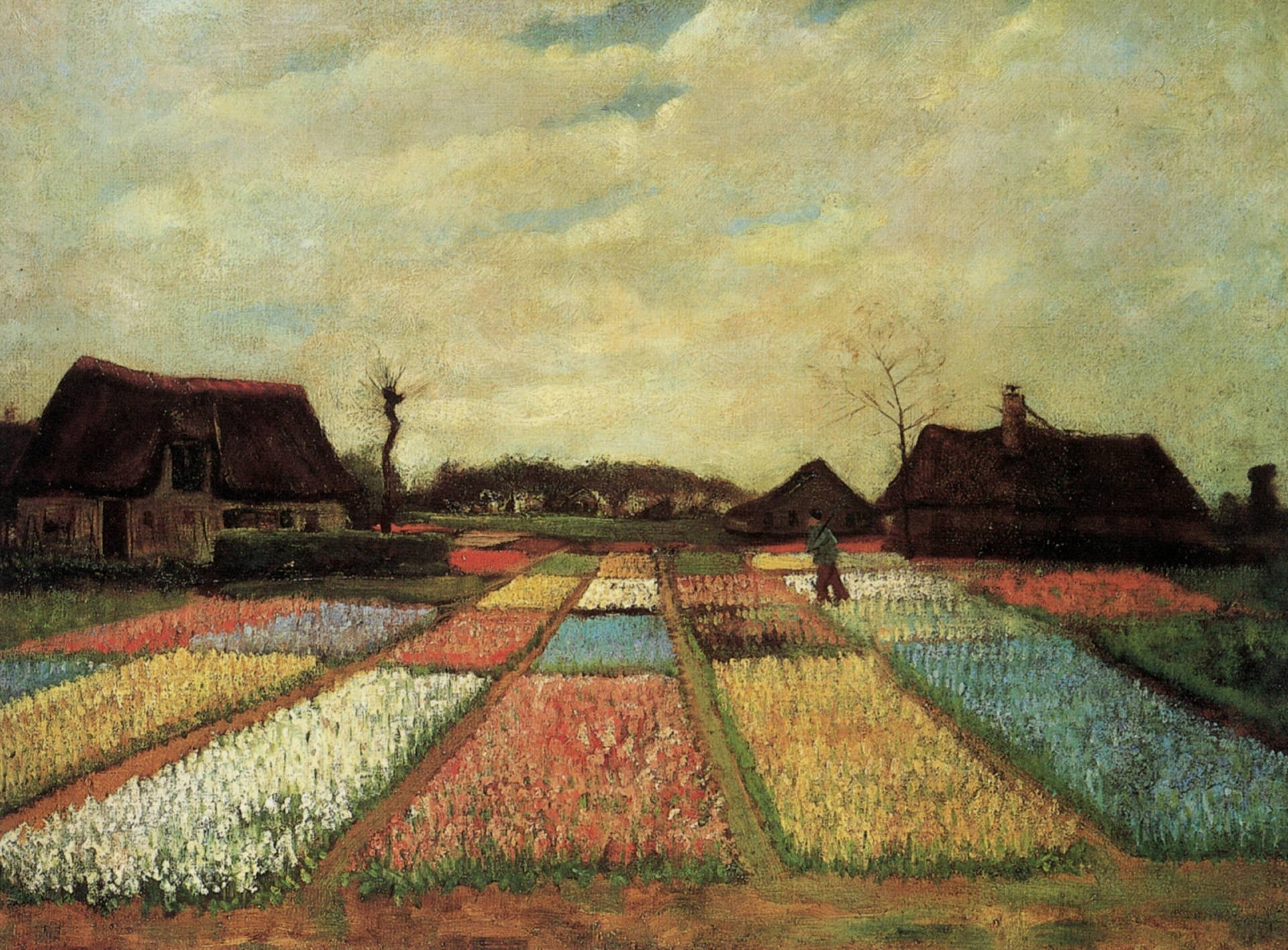 Van Gogh Bulb Fields