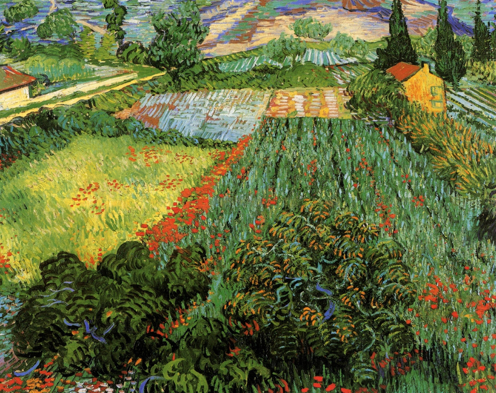 Van Gogh Field With Poppies 1889 Wallpaper