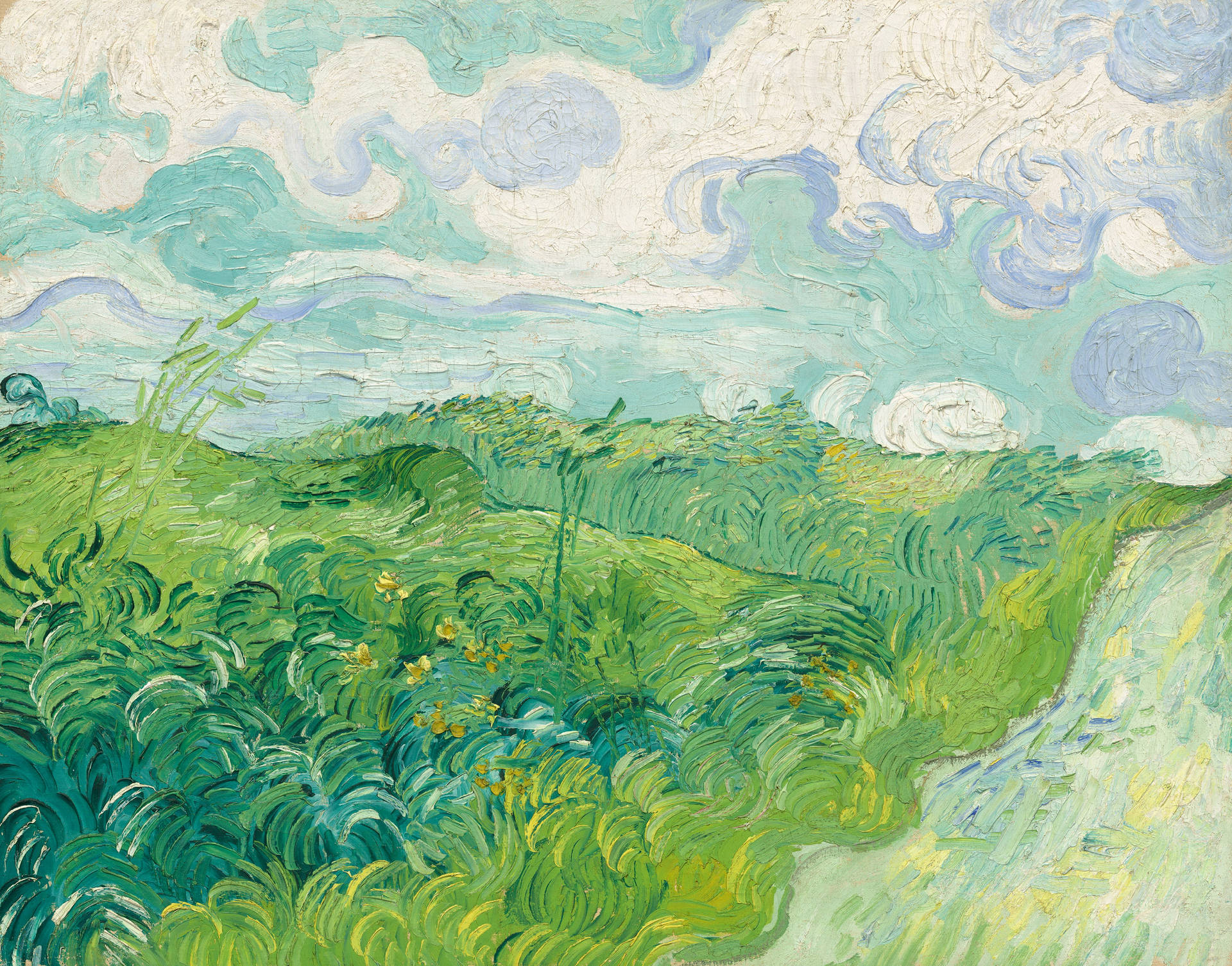 Van Gogh Green Wheat Fields Auvers