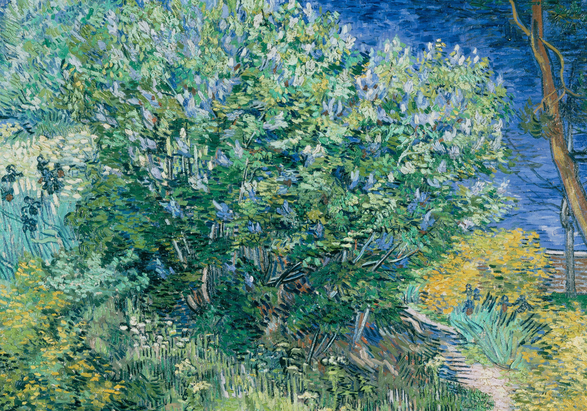 Van Gogh Lilac Bush Wallpaper