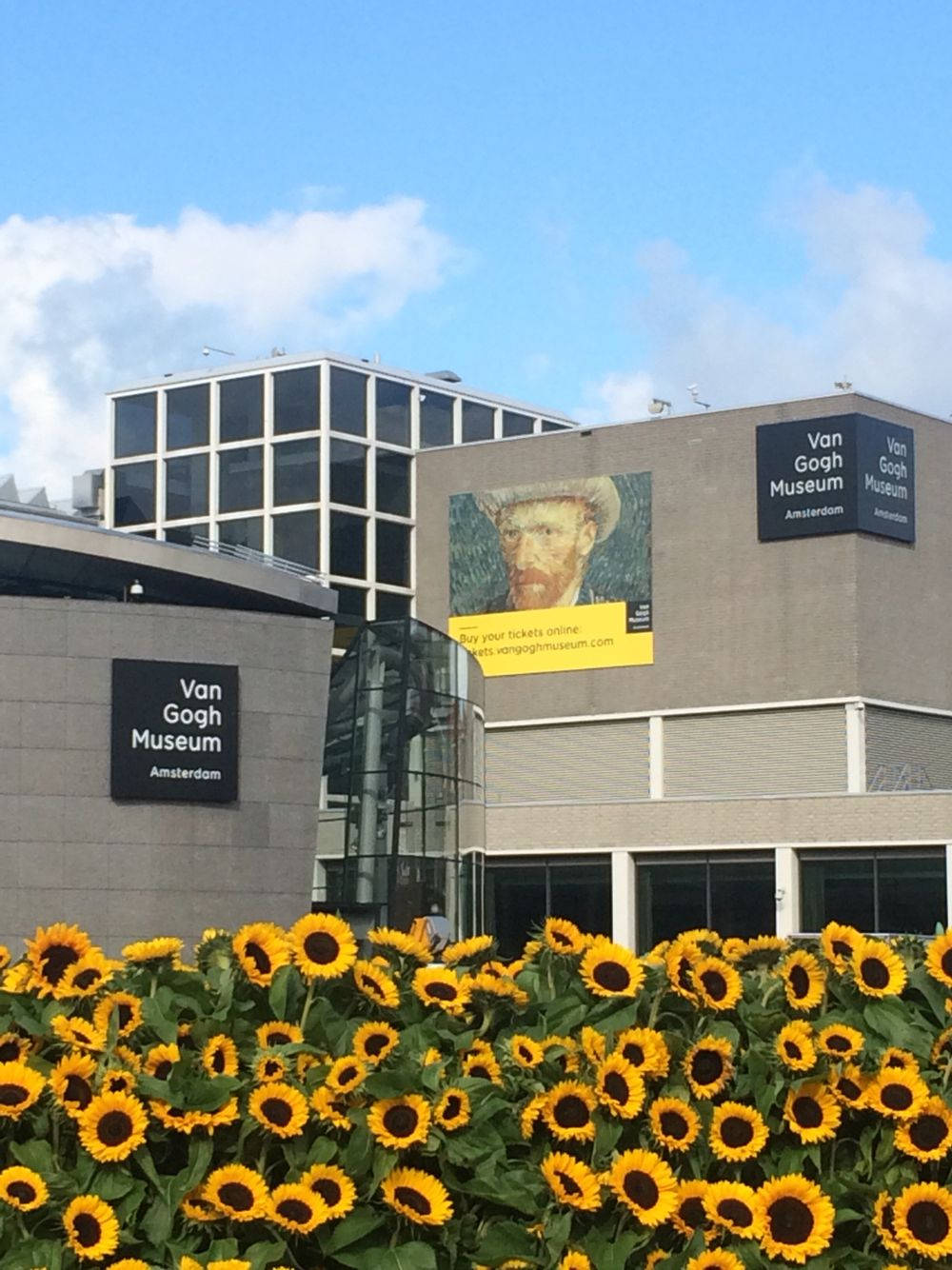 Van Gogh Museum Sunflower Garden Wallpaper