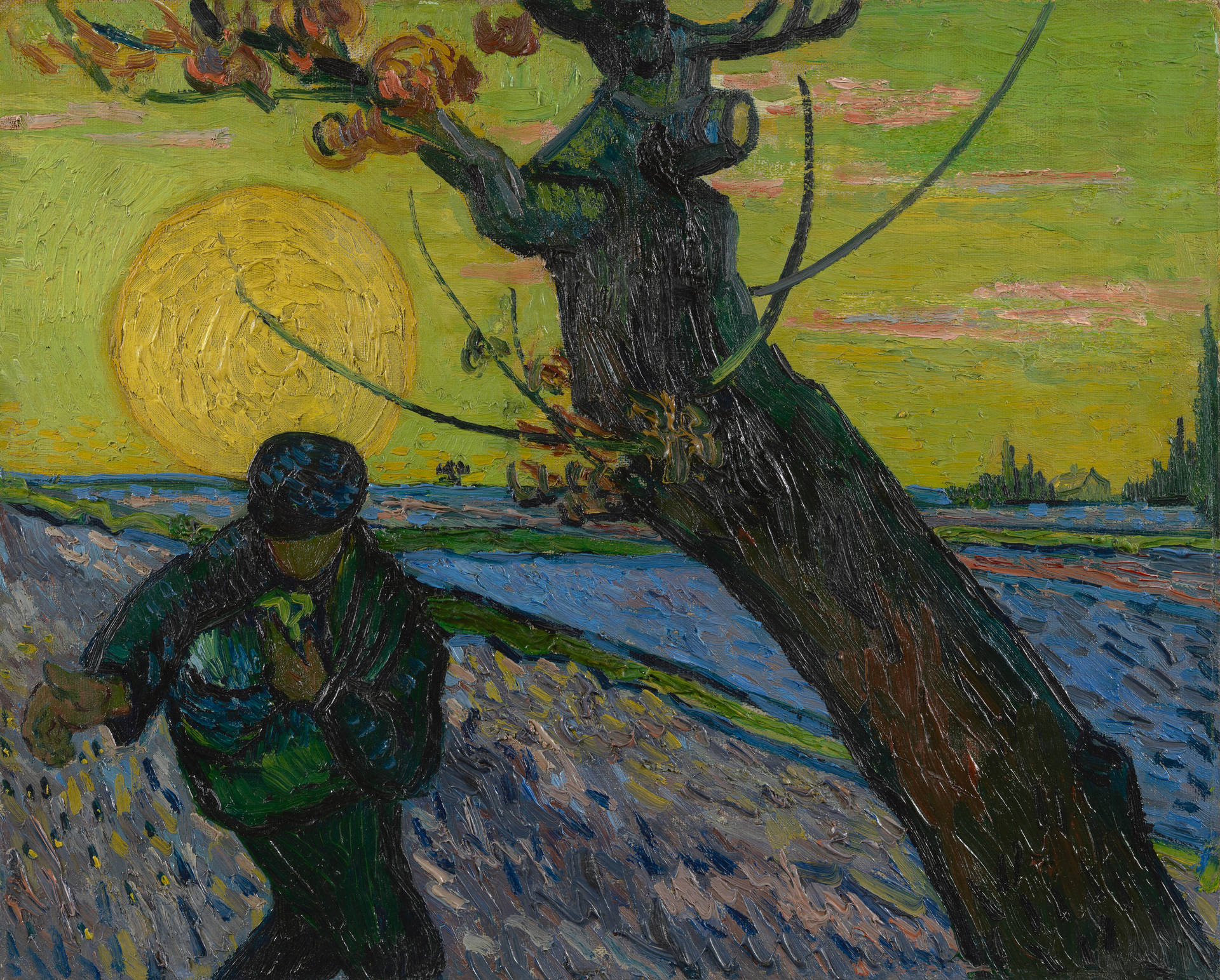 Van Gogh Museum The Sower Painting Wallpaper