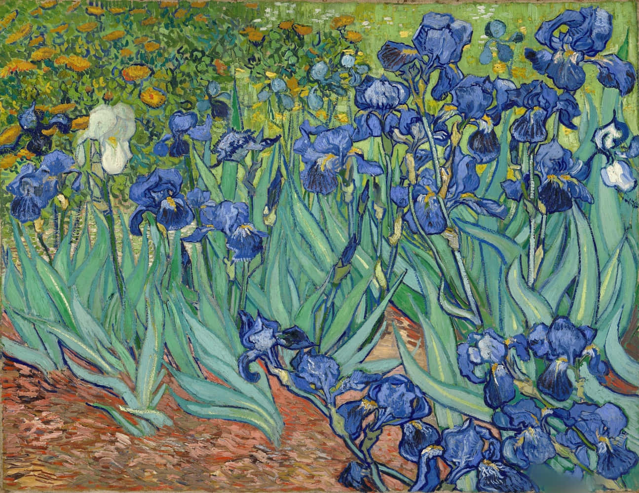Stjärnklarnatt, Vincent Van Gogh