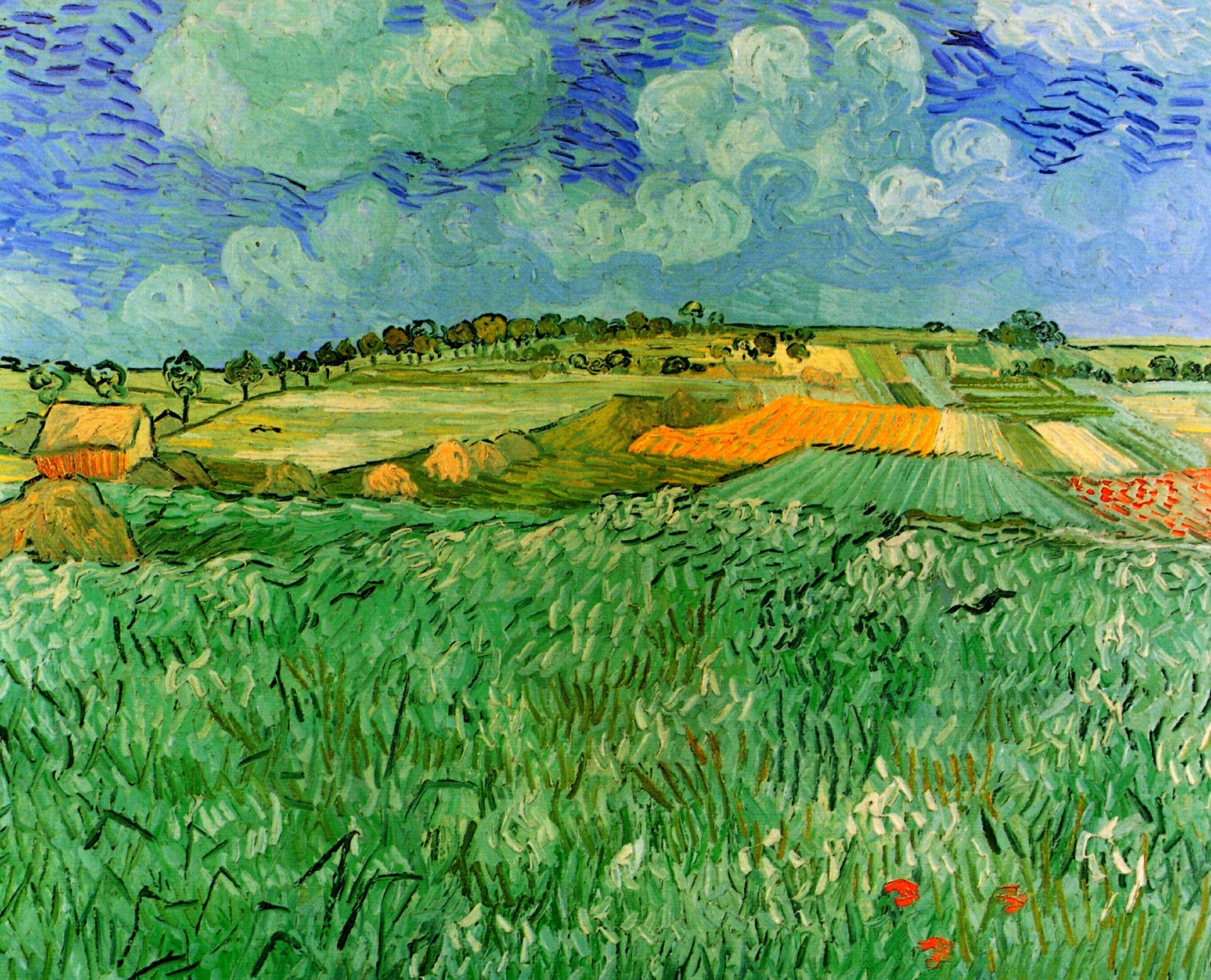 Van Gogh Plain Near Auvers Wallpaper