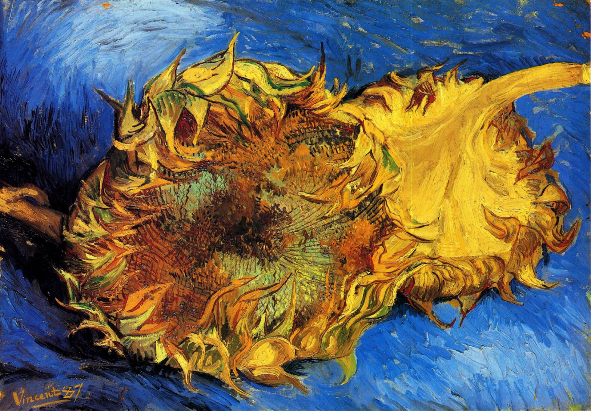 Van Gogh Two Cut Sunflowers