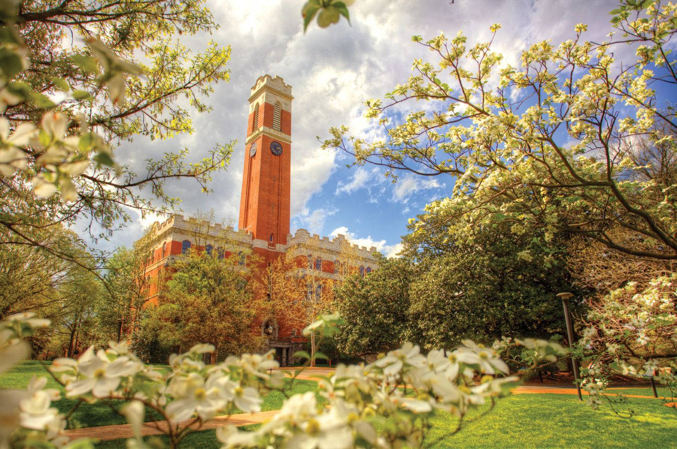 Vanderbilt University In Full Bloom Wallpaper