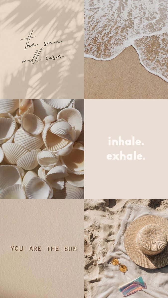 Vanilla Aesthetic Collage Sun Sea Shells Wallpaper