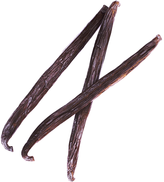 Vanilla Beans Isolated PNG