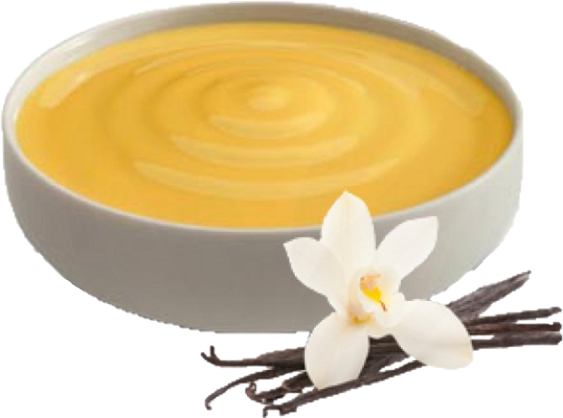 Vanilla Custard Bowl Orchid Accent PNG