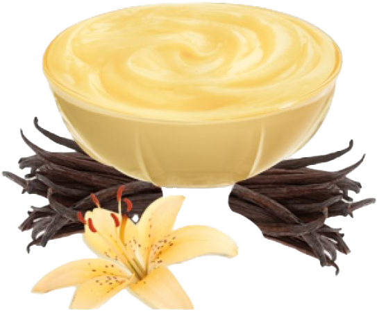 Vanilla Custardwith Vanilla Beansand Flower PNG