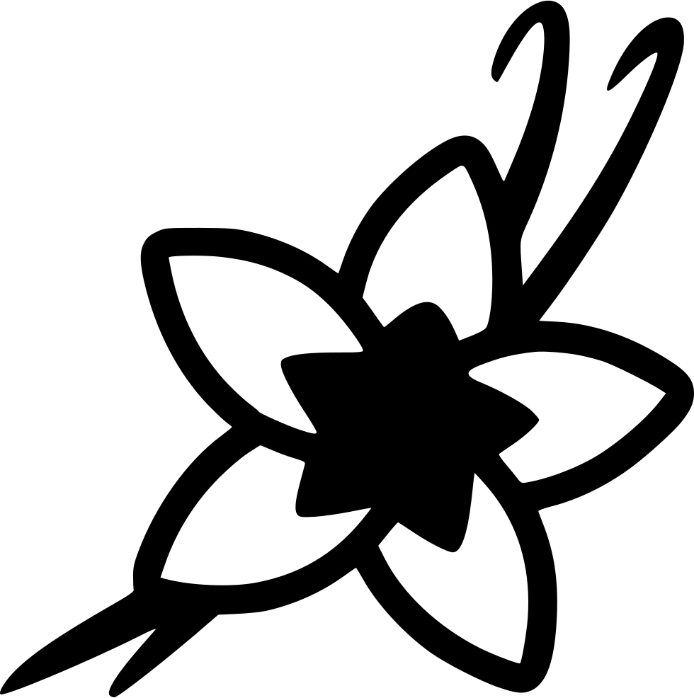 Vanilla Orchid Silhouette PNG