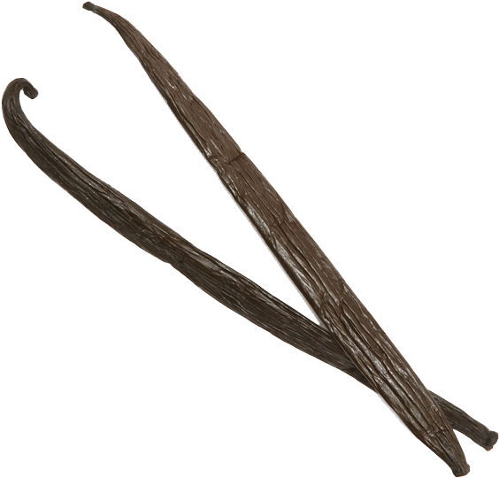 Vanilla Pods Closeup PNG