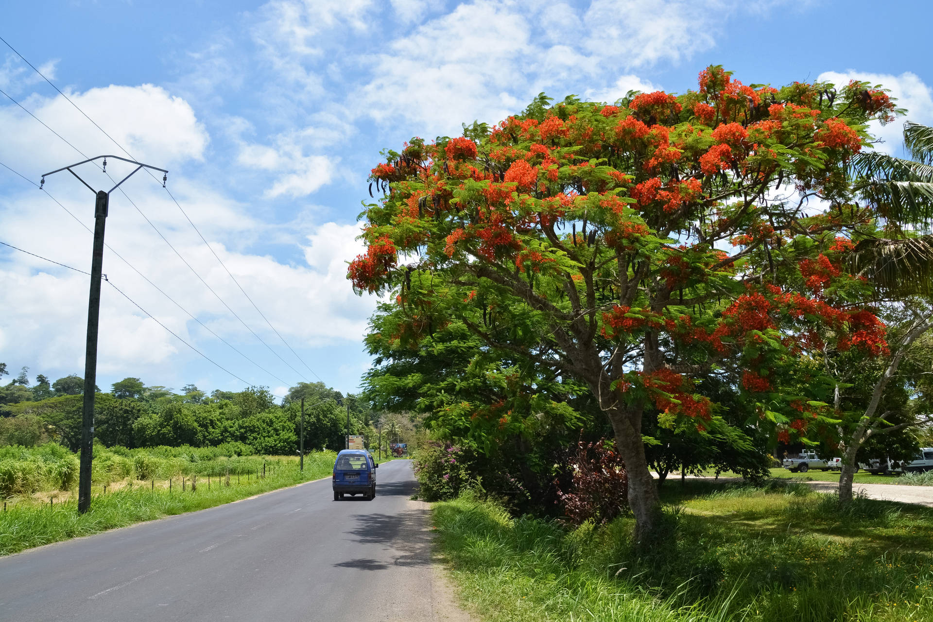 Strada Laterale Del Paese Di Vanuatu Sfondo