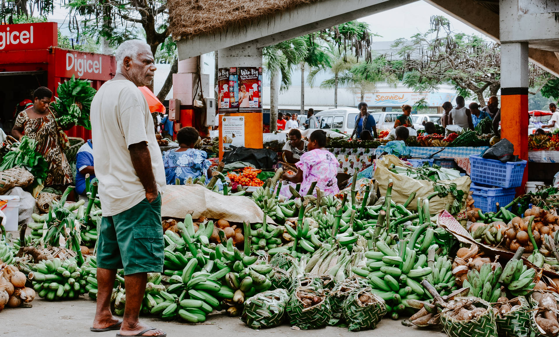 Vanuatu Friske Bananer baggrundsbillede Wallpaper