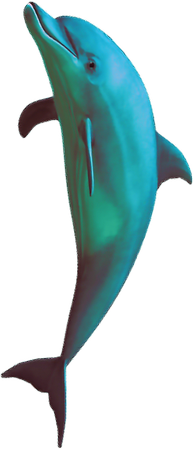 Vaporwave Dolphin Graphic PNG