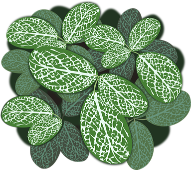 Variegated Leaves Pattern.jpg PNG