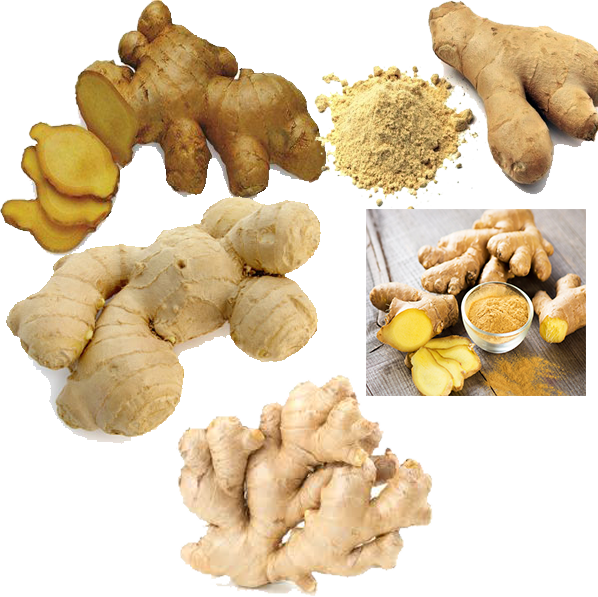 Varietiesof Ginger Rootand Powder PNG