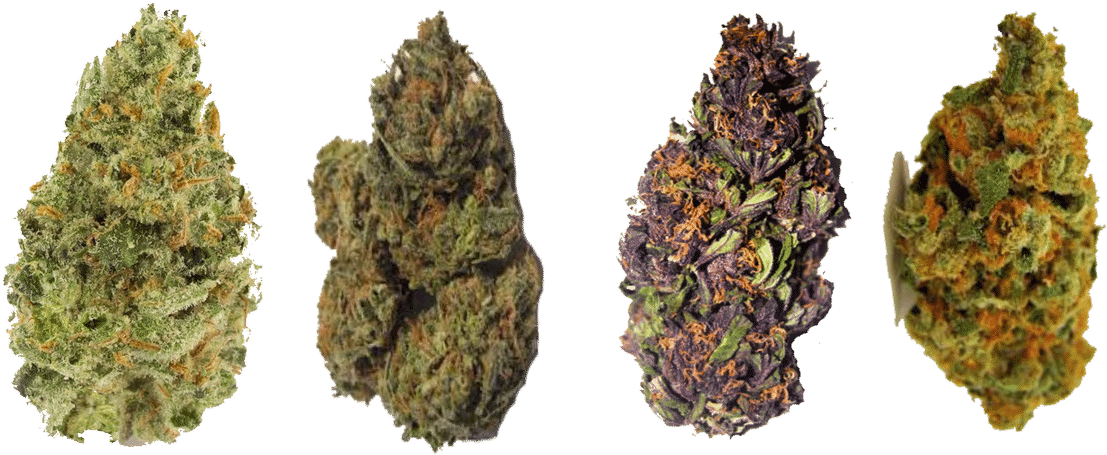 Variety Cannabis Buds PNG