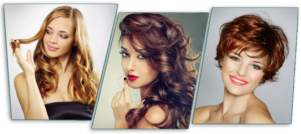 Variety Hairstyles Beauty Parlour PNG