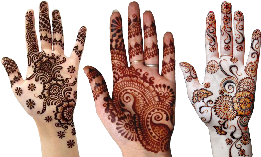 Variety_of_ Mehndi_ Designs_on_ Hands PNG