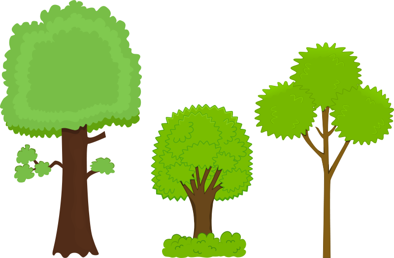 Varietyof Cartoon Trees PNG