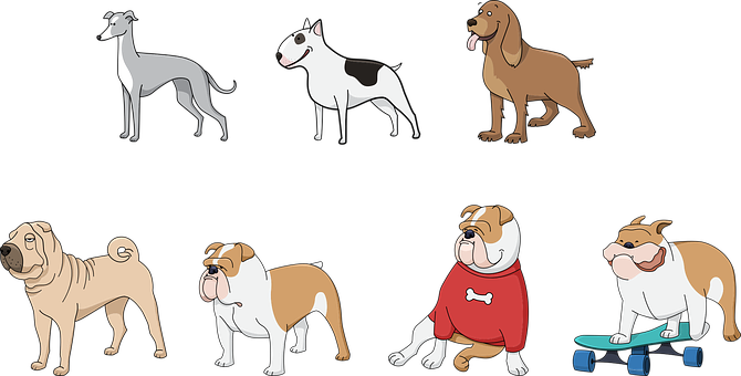 Varietyof Dog Breeds Illustration PNG
