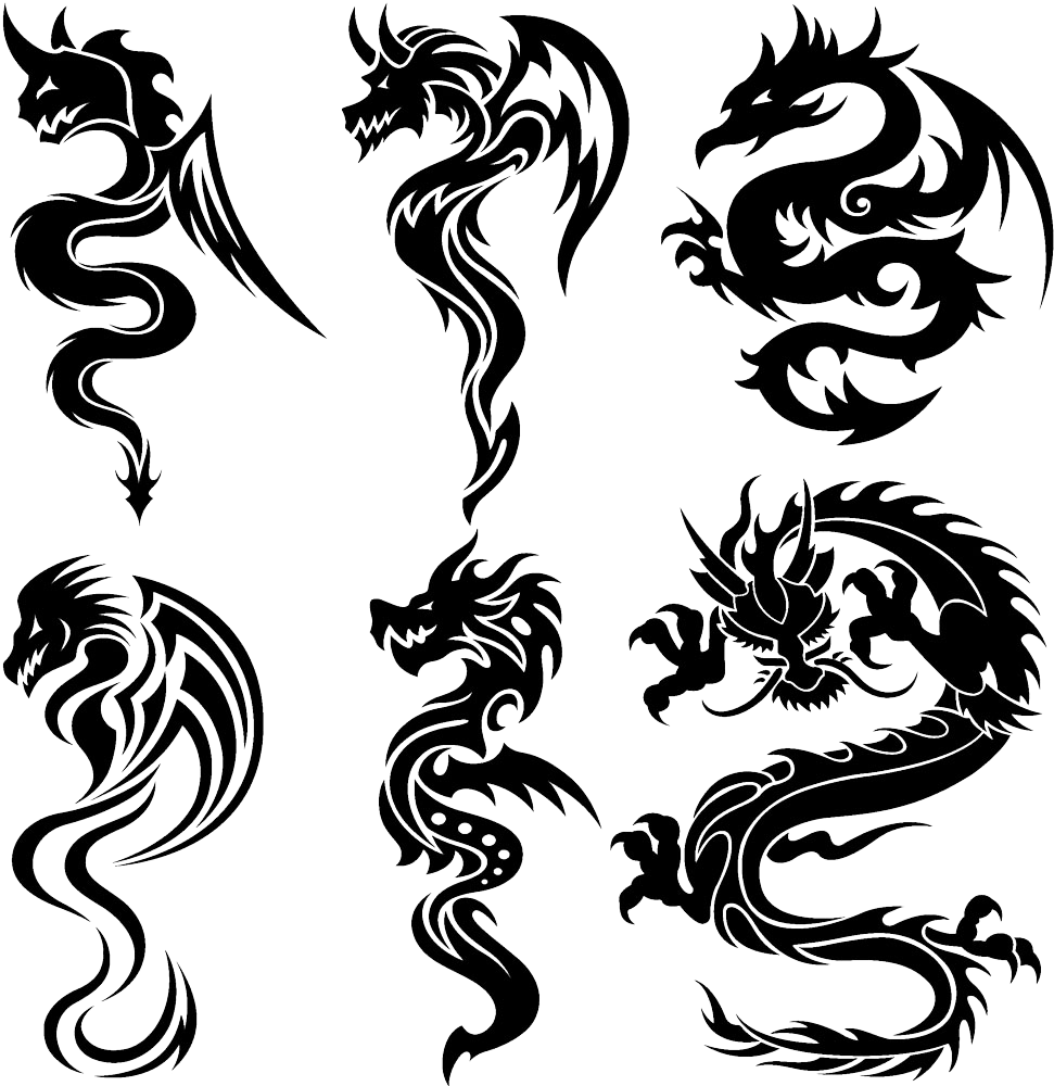 Varietyof Dragon Tattoo Designs PNG