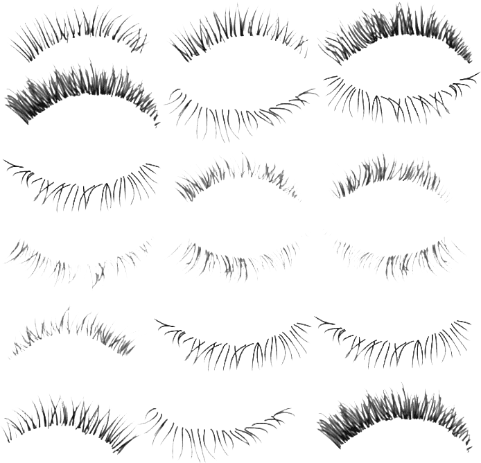 Varietyof Eyelashes Set PNG