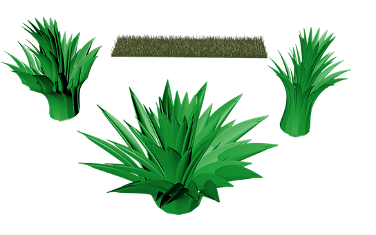 Varietyof Green Grass Clumps PNG