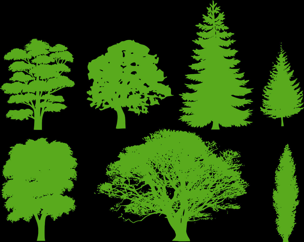 Varietyof Green Tree Silhouettes PNG