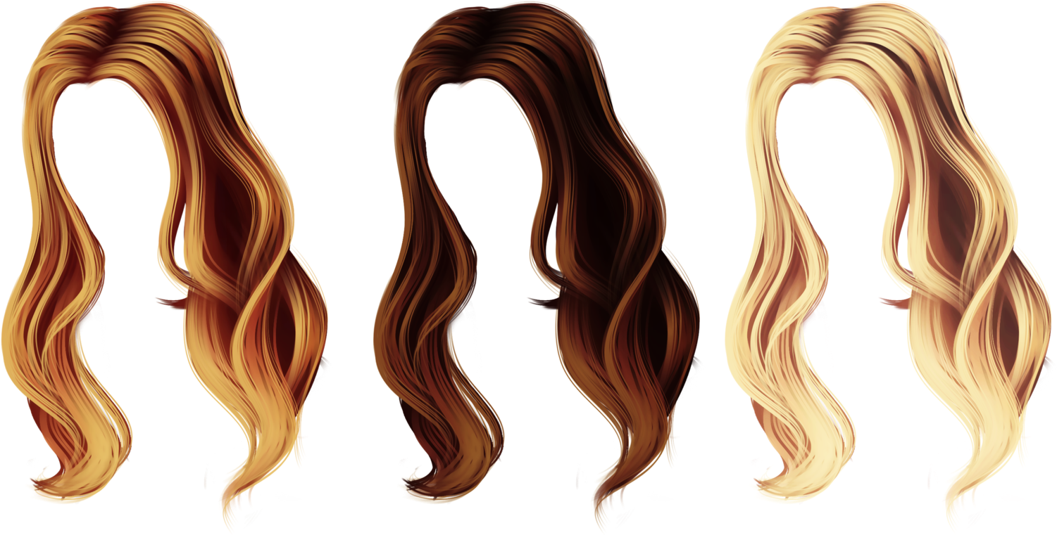 Varietyof Hair Colorsand Styles PNG