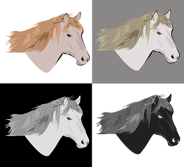 Varietyof Horse Heads Illustration PNG
