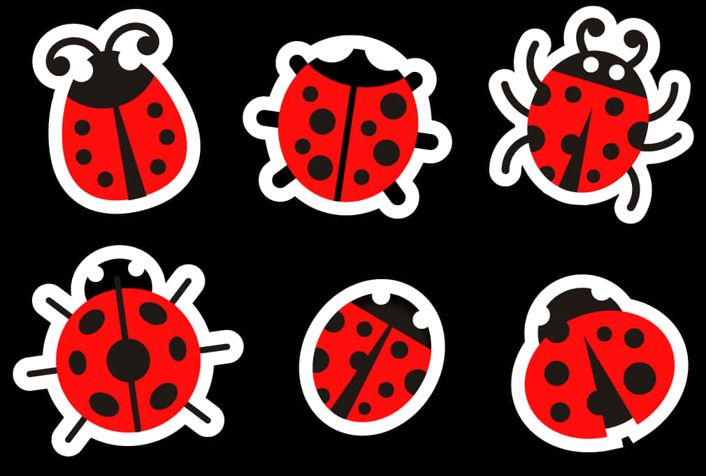Varietyof Ladybug Illustrations PNG